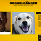 Image for article titled Doggelgänger facial recognition software matches you with your puppy lookalike